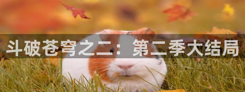 新新漫画安卓版下载